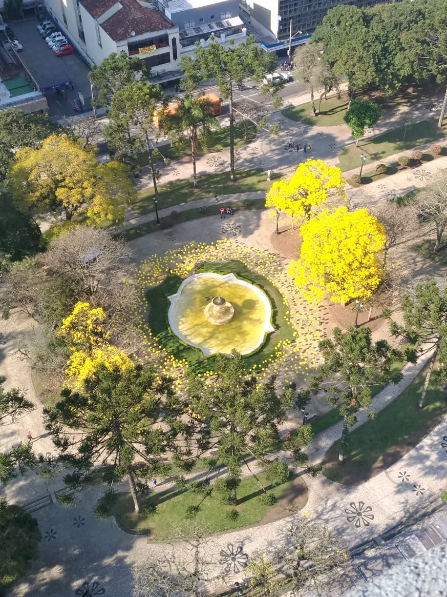 WhatsApp Image 2019-09-19 at 21.52.27 (1).jpeg