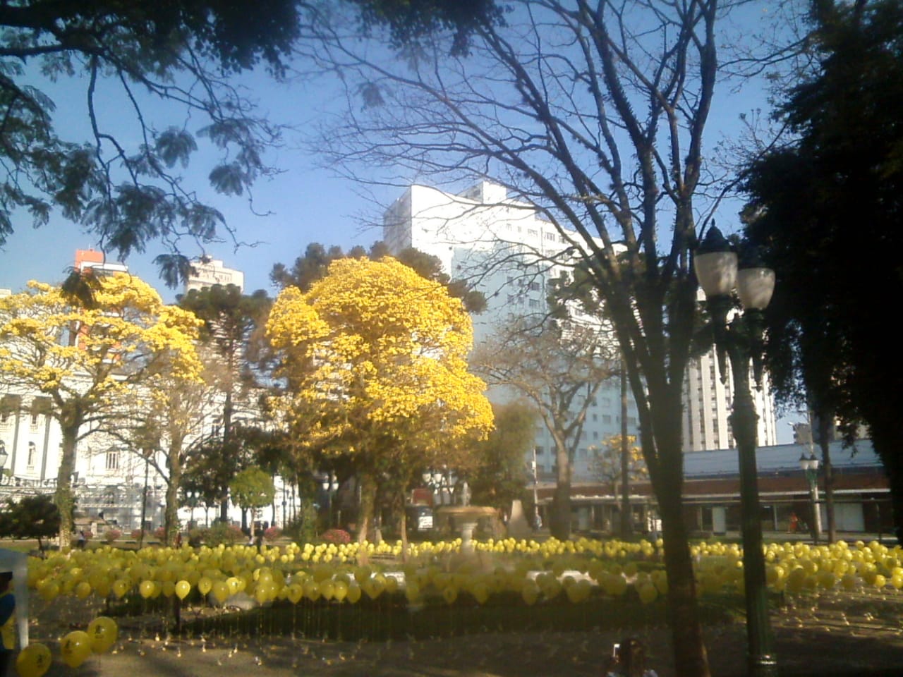 WhatsApp Image 2019-09-19 at 21.52.28.jpeg